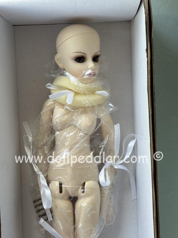 Goodreau "Secret" BJD NUDE Doll 16" NRFB in Shipper - Image 6