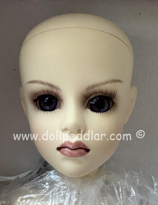 Goodreau "Secret" BJD NUDE Doll 16" NRFB in Shipper - Image 4