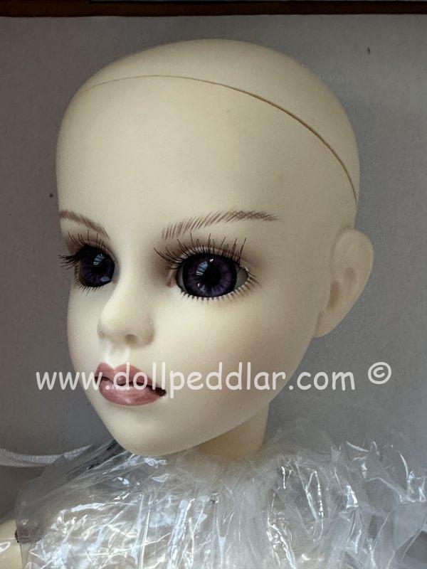Goodreau "Secret" BJD NUDE Doll 16" NRFB in Shipper - Image 5