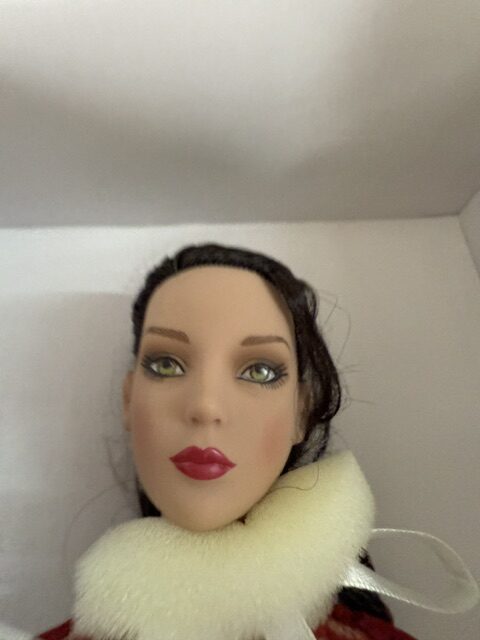 Phyn & Aero Annora Monet American Beauty 16" Robert Tonner - Image 9