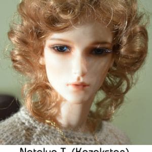 Brittany Wig (Light Golden Brown) Size 10-11