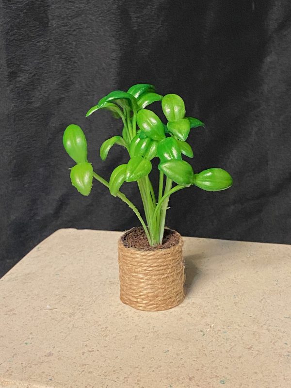 Furniture: Accessory - Potted Plant