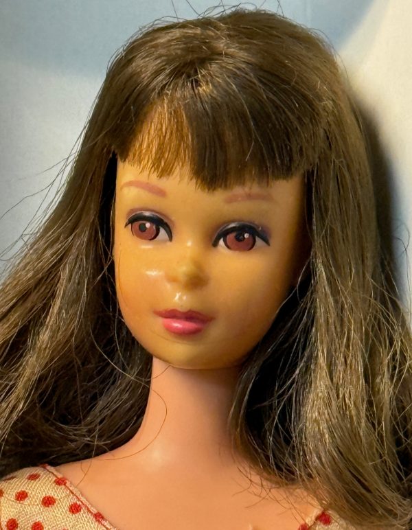 #1140 Vintage Francie Straight Leg Brunette MIB - Image 2