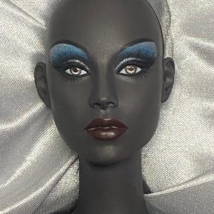 Ficon Fierce 16″ resin ball jointed fashion doll. All Original   NUDE MIB