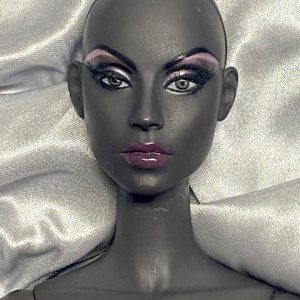 Ficon Fierce 16″ resin ball jointed fashion doll. RePaint .Doll Peddlar Exclusive..NUDE MIB**