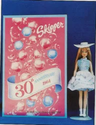 11396 30th Anniversary Skipper (Porcelain) – Doll Peddlar