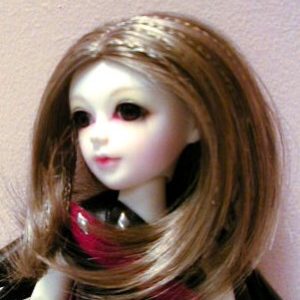 Long Straight Wig with Braids (Dark Blonde) 30cm