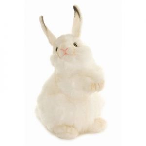 Rabbit, White Baby