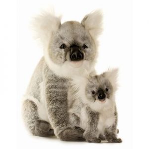 Koala Bear, Baby 9″