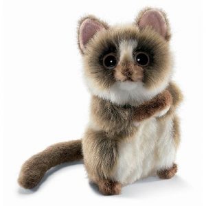 Tarsier, Baby 6″