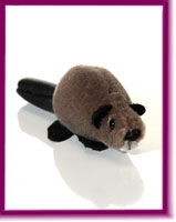 Miniature Beaver 1″