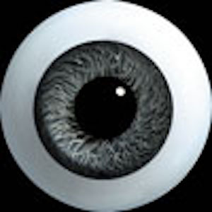 Hand Glass Craft Eyes 14mm Flat Back/Low Lens (Dark Crystal Grey