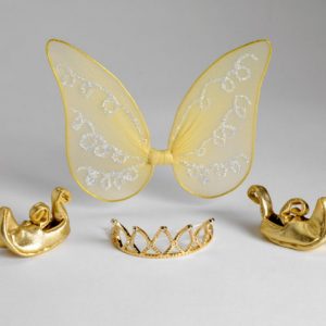 Fancy Nancy™ Fairy Royalty Set 13″