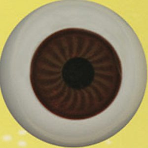 Glamorous Glass Eyes – (Brown)  22mm