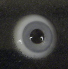 Glass Eyes Round (Gray) 16mm