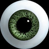 Hand Glass Craft Eyes 10mm Flat Back/Low Lens (Dark Green)