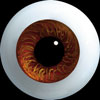 Hand Glass Craft Eyes 14mm Flat Back/Low Lens (Light Puppy)