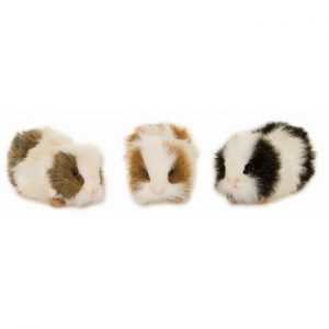 Guinea Pig (Tan)