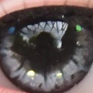 Handmade Resin Round Eyes – (Gray) 14mm