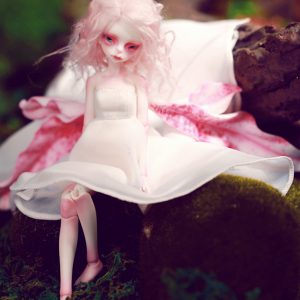 DollZone Special Iris Winged Body. 18cm Full Set