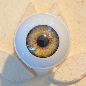 Glastic Realistic Round Acrylic Eyes – Hazel 14mm