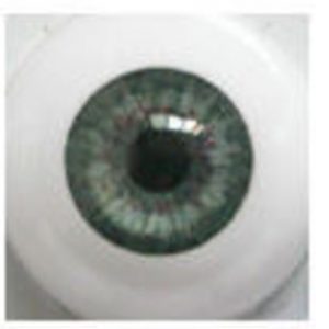 Eyes – Life Like Acrylic Round (Blue Green) 18mm