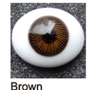 Eyes – Paperweight Glass Oval/Classic 14mm Brown