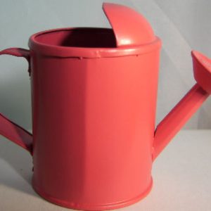Painted metal water can – 2-1/2″ tall x 2″ diameter
