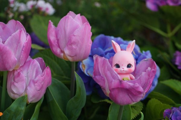 Lati  Pet Rabbit Pink Smiling  face 4" - Image 2
