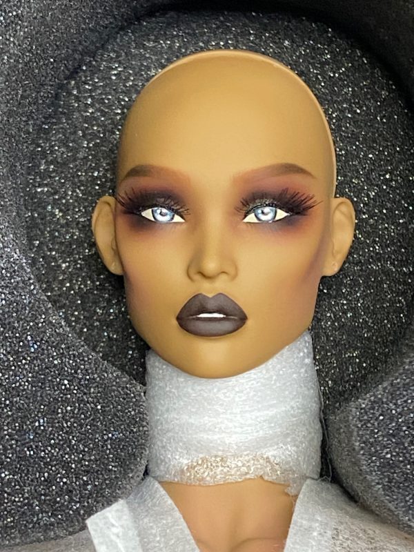 Ficon Sofia 16" Resin ball jointed fashiondoll.  LE30  Never Removed from Box - Image 6