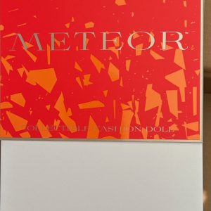 Meteor Collection Serving Cake Keeki Adaeze BOX ONLY