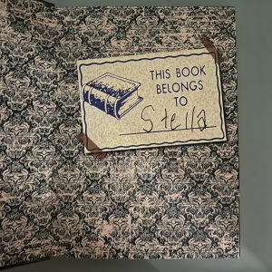 Connie Lowe’s “Becoming Real: The Life and Love of Stella” Book Full Color/Nearly 300 pages