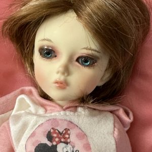Soul Doll ‘Sweetest 10” full set ooak faceup glass blue eyes, wig. TTYA outfit