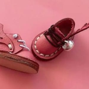 Cool Pink Winged Shoes 27mm