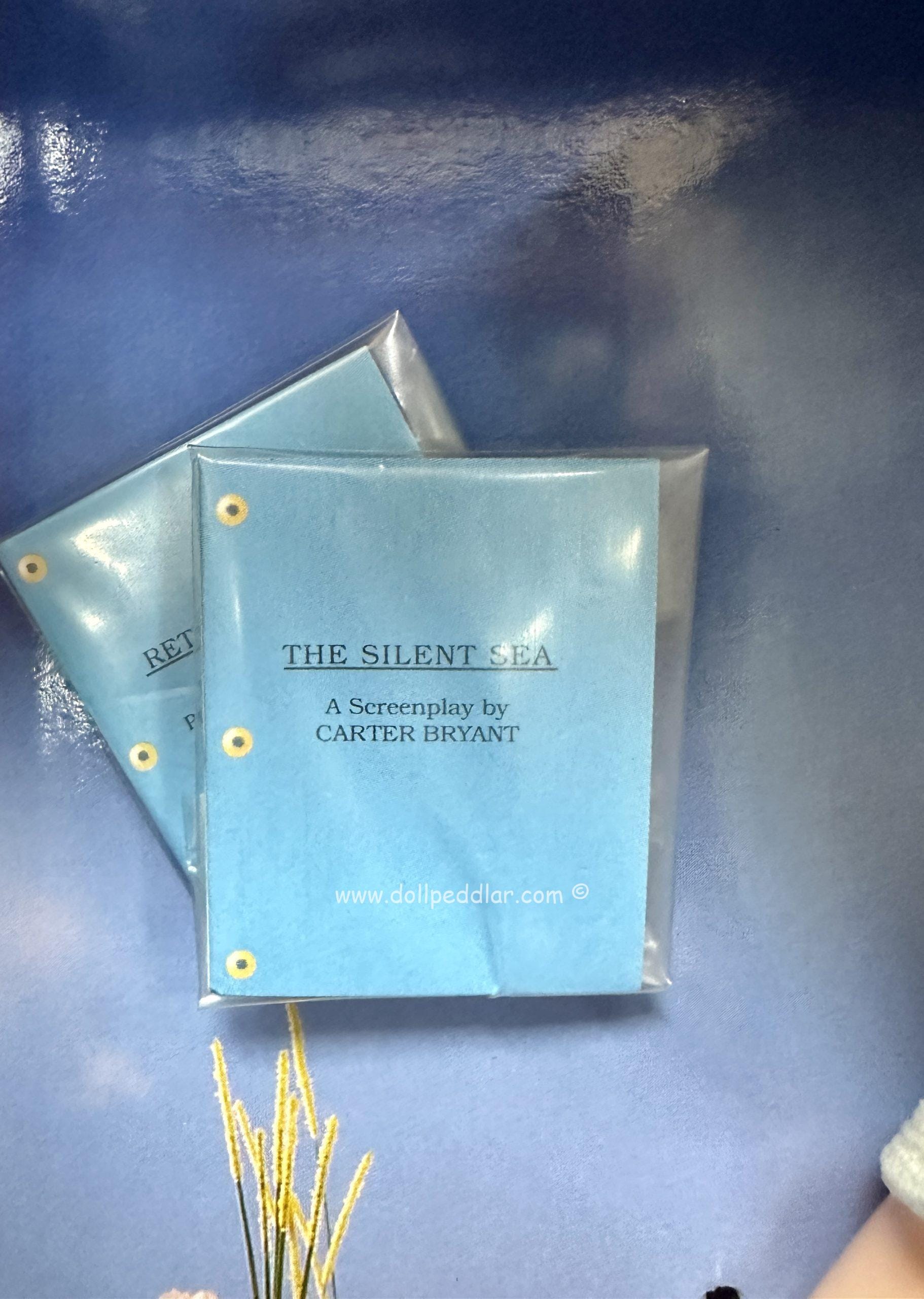 29389 2001 Barbie Con Day In The Sun Barbie Brunette LE1100 - Image 4