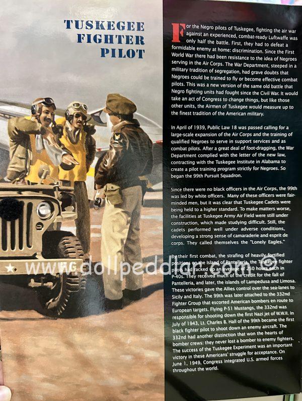 81393 Tuskegee Fighter Pilot GI Joe NRFB - Image 8
