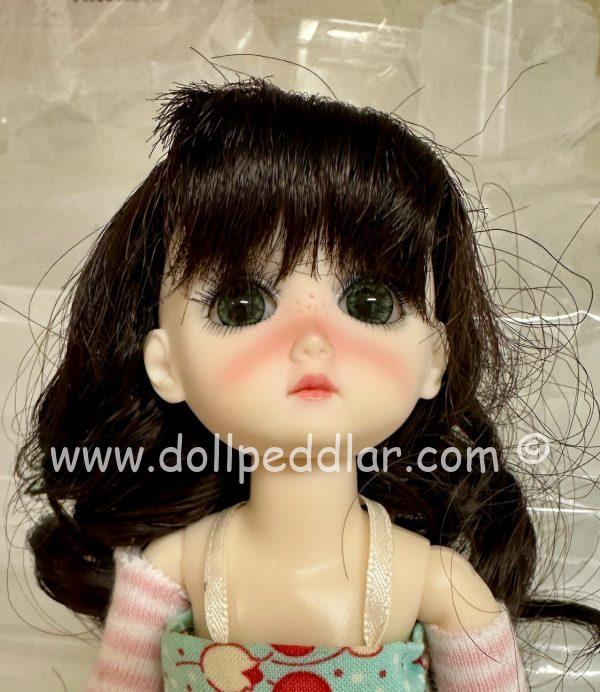 Dark Brown Wig with Bangs & Curls Size 5-6