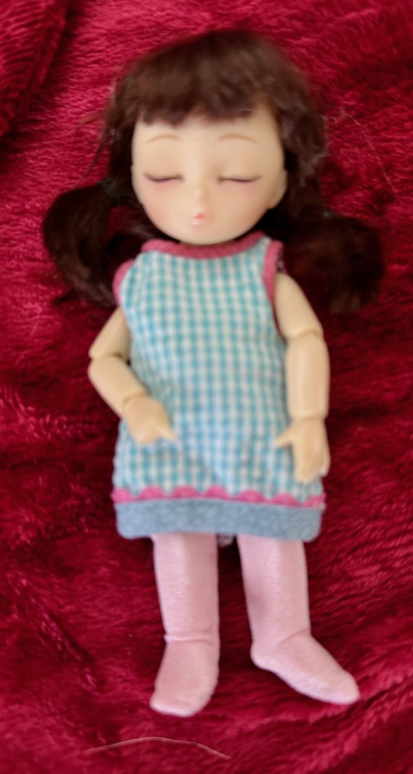 Doll Leaves Sleeping 5" bjd Full Set, outfit, tights, wig