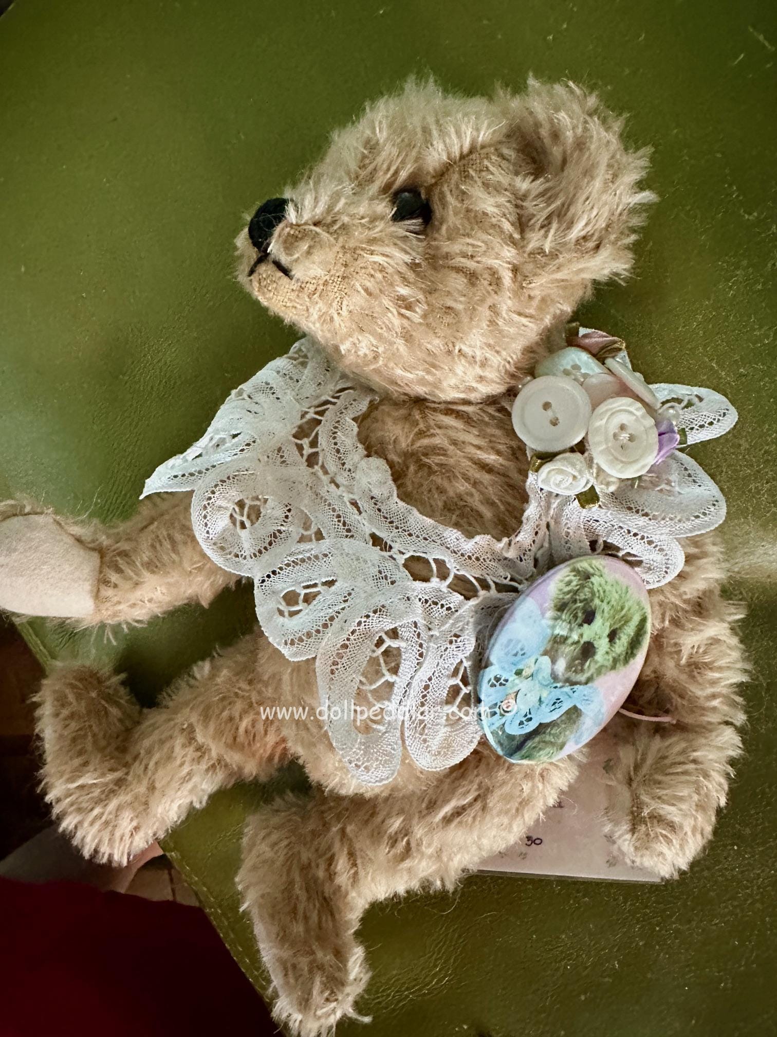 OLIVIA by artist Sue Coe, Bear Feet, Mohair Bear with leather paws, articulated, #10 of 30 limitation. NEW MINT - Image 2