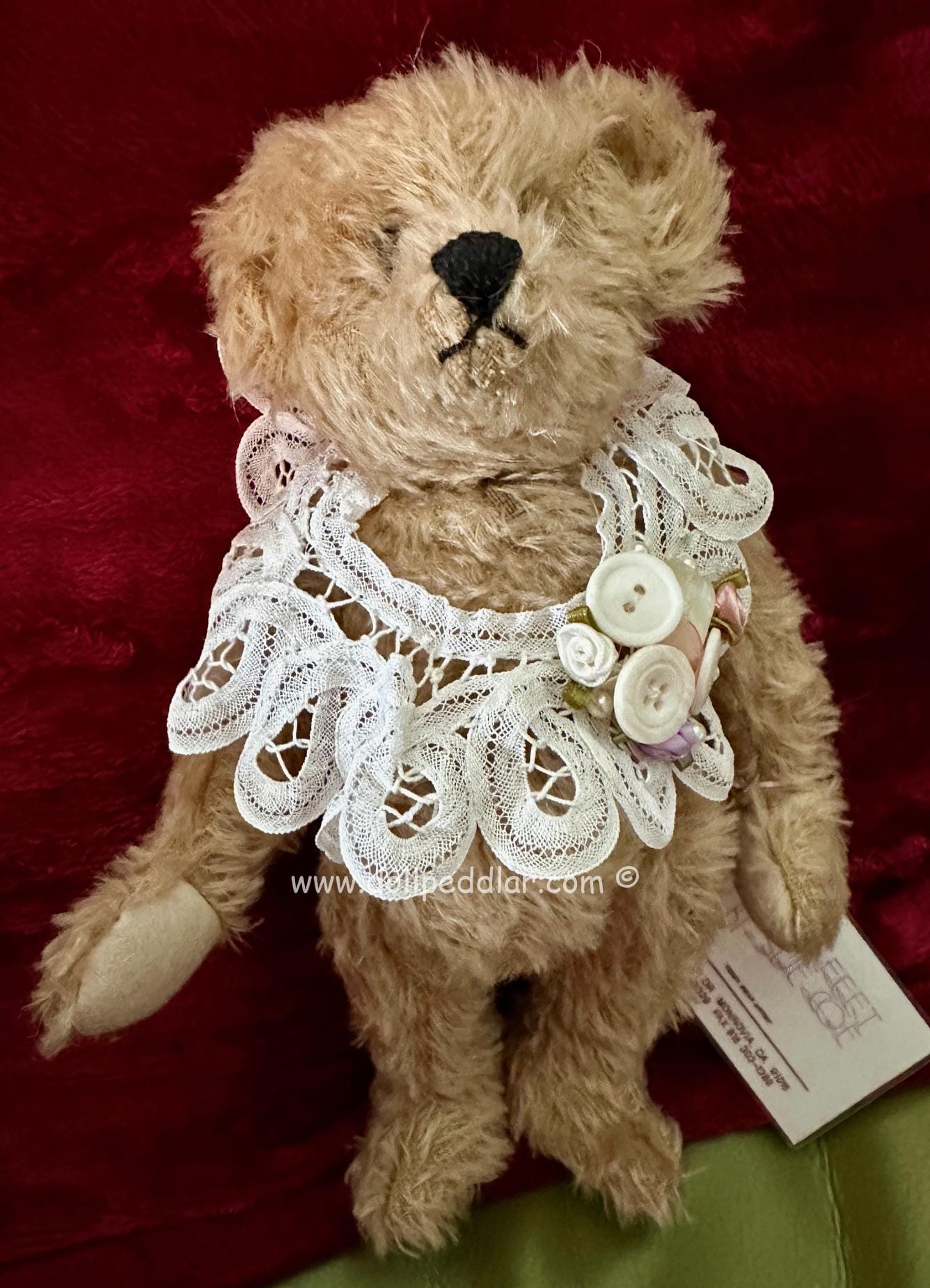 OLIVIA by artist Sue Coe, Bear Feet, Mohair Bear with leather paws, articulated, #10 of 30 limitation. NEW MINT - Image 3