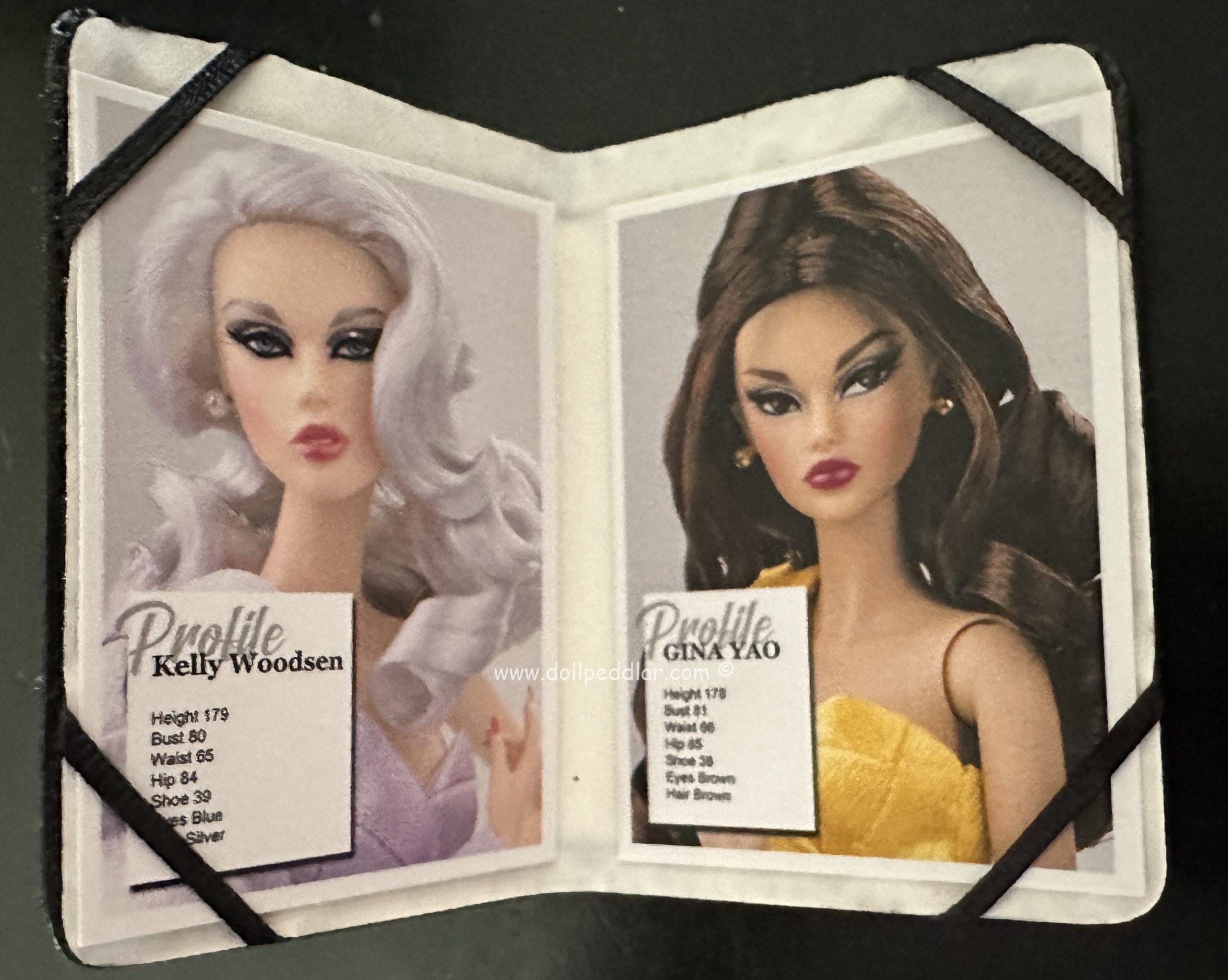 Covergirl Model Lookbook, Black Portfolio Accessory 2" - Image 2