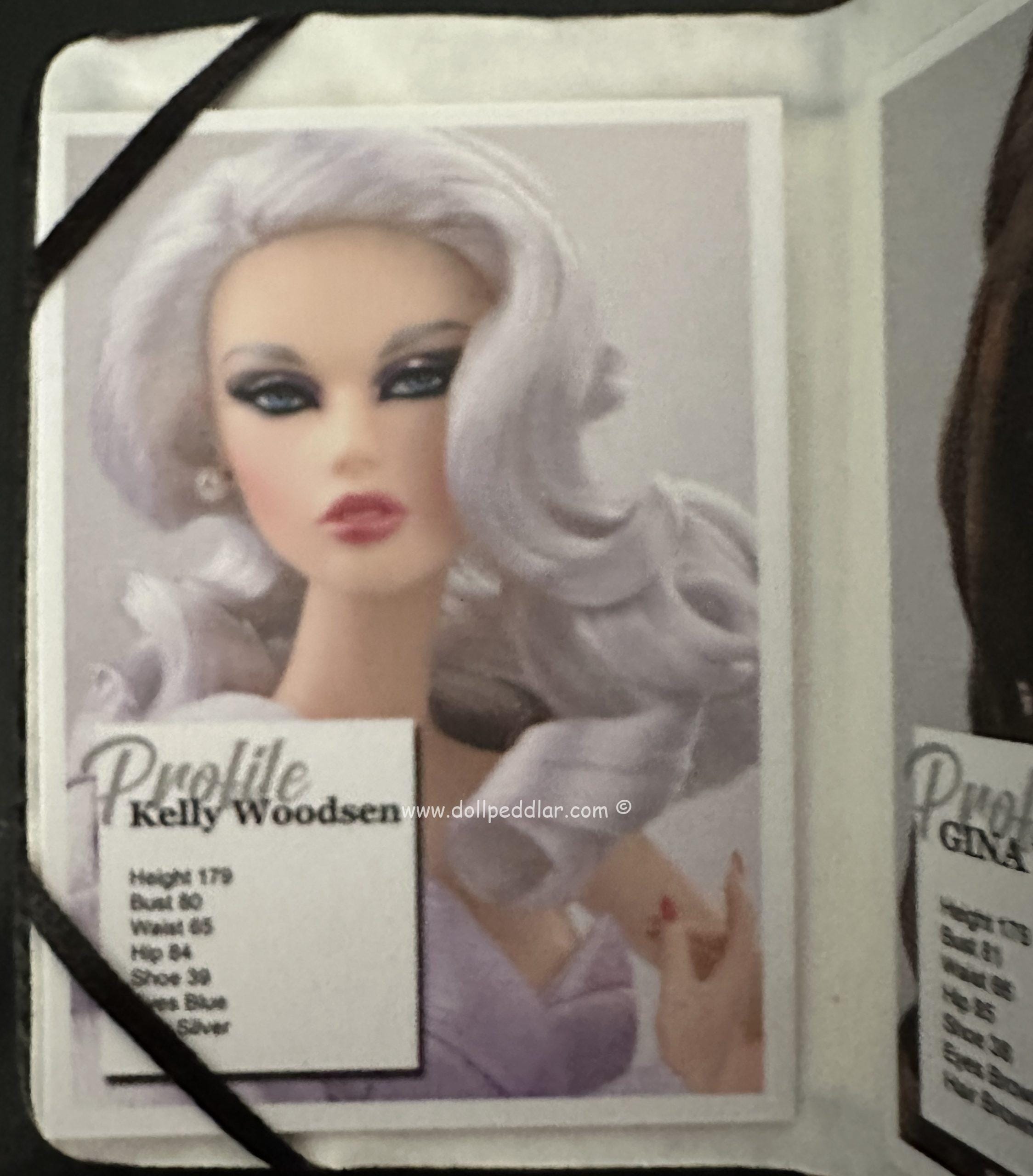 Covergirl Model Lookbook, Black Portfolio Accessory 2" - Image 3