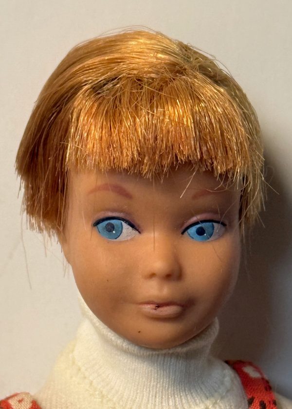 Vintage #950 SL Skipper Titian Doll Dressed in #1908 Skating Fun (Cut Hair) - Image 4