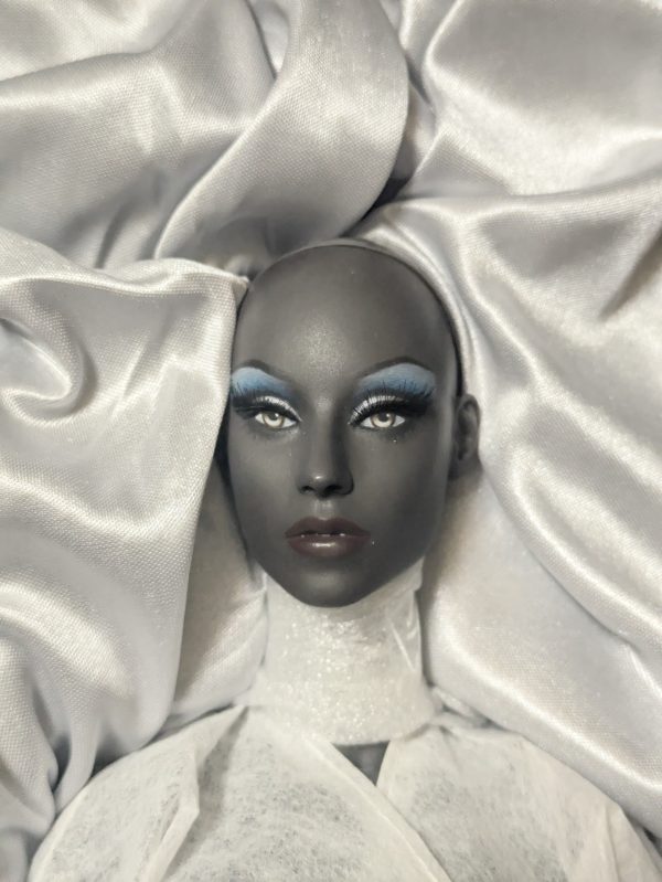 Ficon Fierce 16" resin ball jointed fashion doll. All Original   NUDE MIB - Image 5