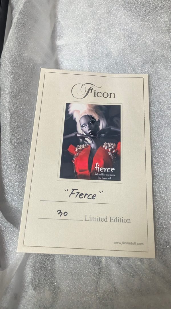 Ficon Fierce 16" resin ball jointed fashion doll. All Original   NUDE MIB - Image 4